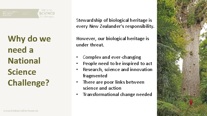 Stewardship of biological heritage is every New Zealander’s responsibility. Why do we need a