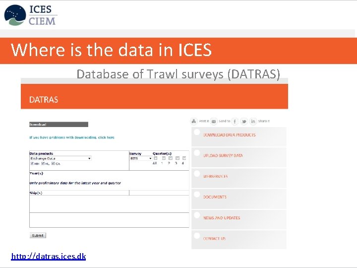 Where is the data in ICES Database of Trawl surveys (DATRAS) http: //datras. ices.