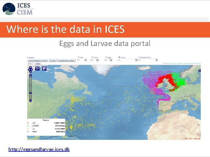 Where is the data in ICES Eggs and Larvae data portal http: //eggsandlarvae. ices.