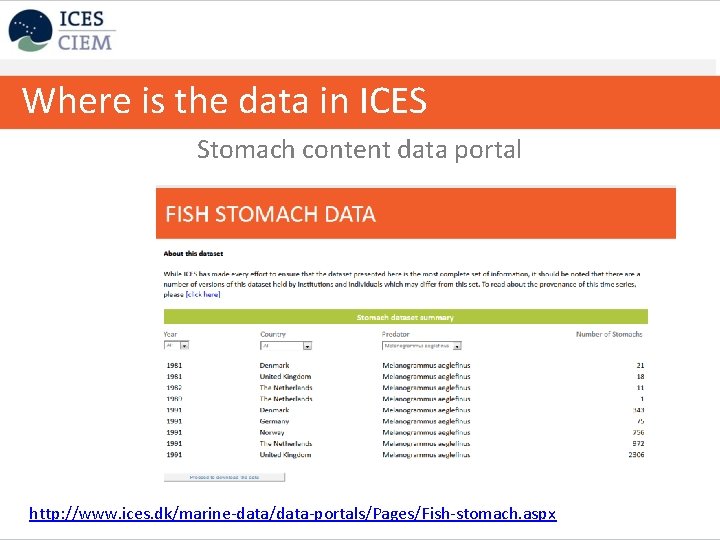 Where is the data in ICES Stomach content data portal http: //www. ices. dk/marine-data/data-portals/Pages/Fish-stomach.