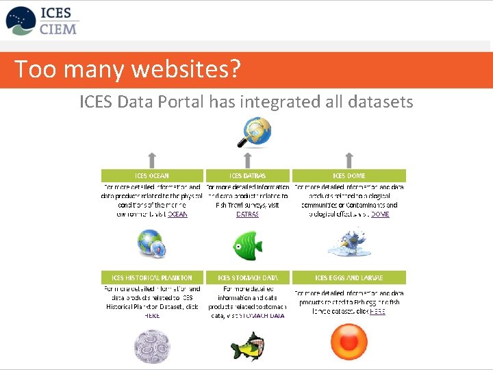 Too many websites? ICES Data Portal has integrated all datasets 