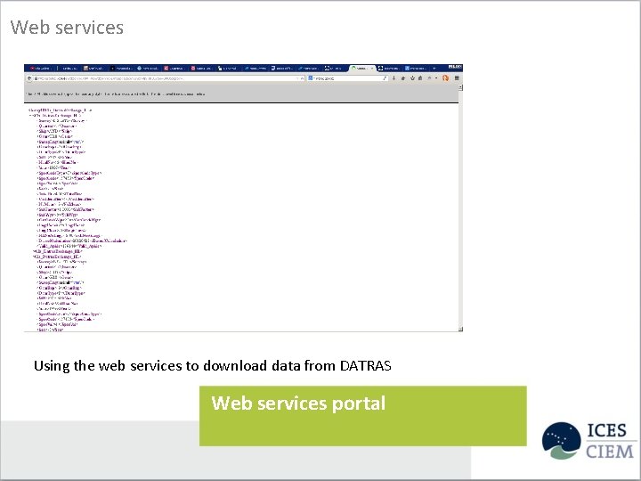 Web services Using the web services to download data from DATRAS Web services portal