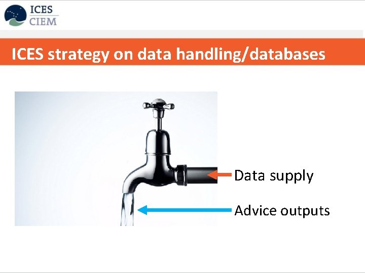 ICES strategy on data handling/databases Data supply Advice outputs 