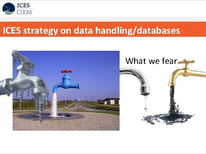 ICES strategy on data handling/databases What we fear 