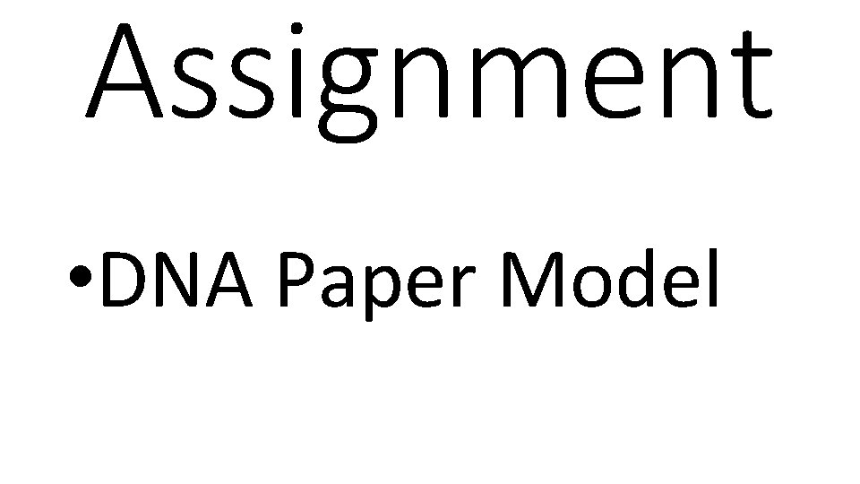 Assignment • DNA Paper Model 