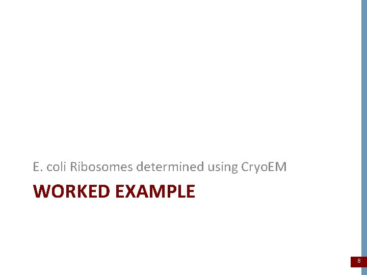E. coli Ribosomes determined using Cryo. EM WORKED EXAMPLE 8 