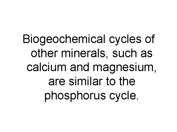 Biogeochemical cycles of other minerals, such as calcium and magnesium, are similar to the