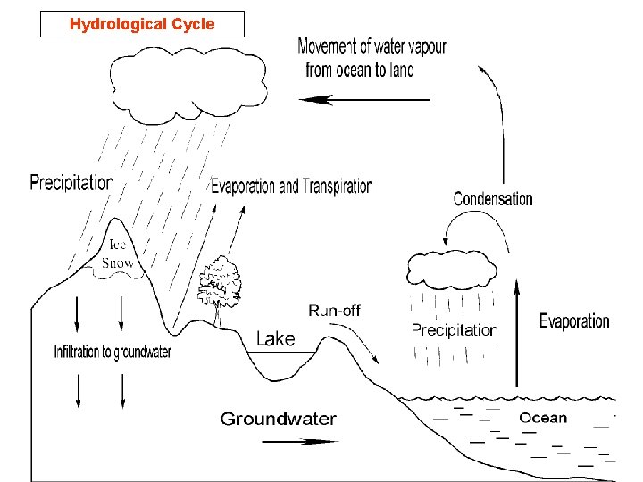 Hydrological Cycle 