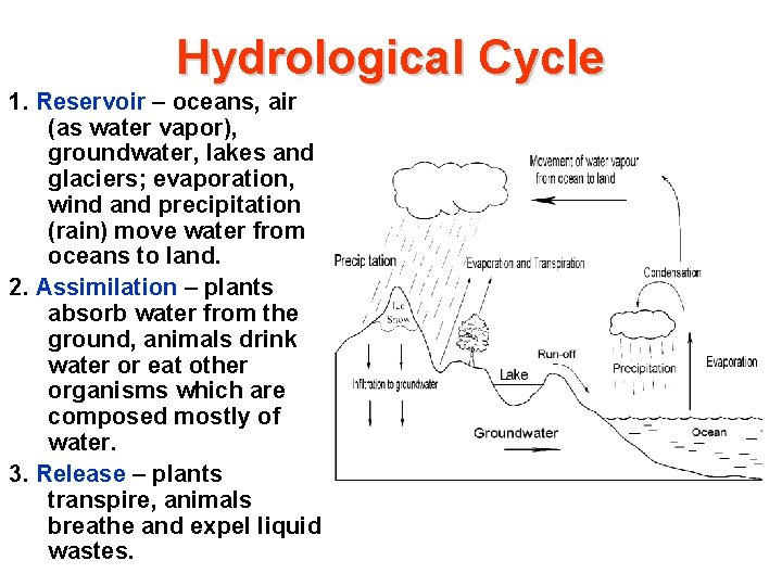 Hydrological Cycle 1. Reservoir – oceans, air (as water vapor), groundwater, lakes and glaciers;