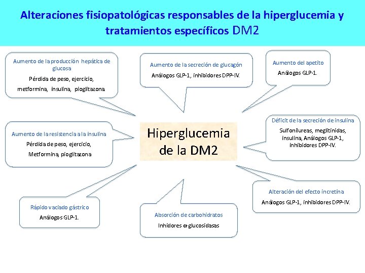 Alteraciones fisiopatológicas responsables de la hiperglucemia y tratamientos específicos DM 2 Aumento de la