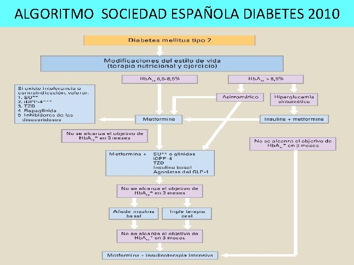 ALGORITMO SOCIEDAD ESPAÑOLA DIABETES 2010 