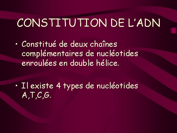 CONSTITUTION DE L’ADN • Constitué de deux chaînes complémentaires de nucléotides enroulées en double