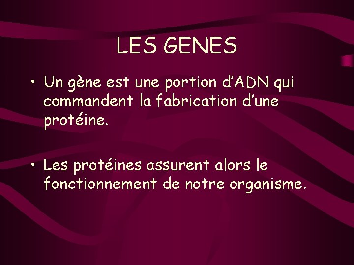 LES GENES • Un gène est une portion d’ADN qui commandent la fabrication d’une