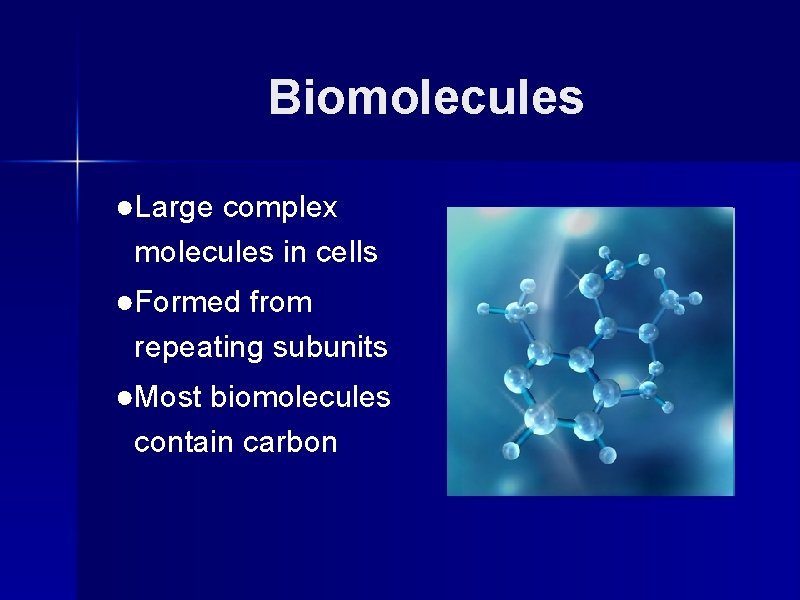 Objectives Explain the structure and function of o