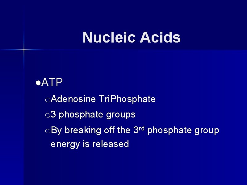 Nucleic Acids ●ATP o. Adenosine Tri. Phosphate o 3 phosphate groups o. By breaking