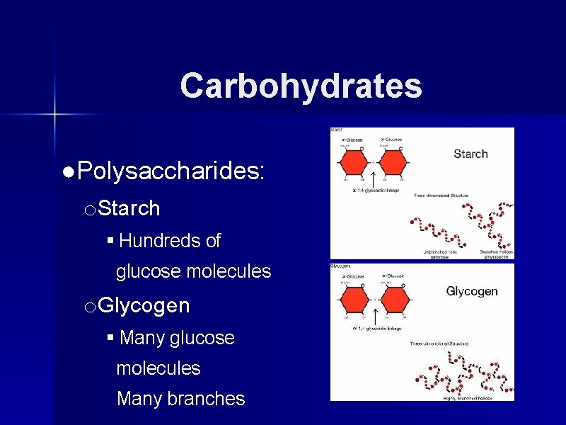 Carbohydrates ●Polysaccharides: o. Starch § Hundreds of glucose molecules o. Glycogen § Many glucose