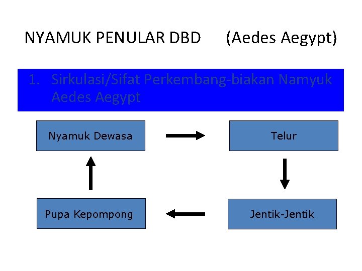 NYAMUK PENULAR DBD (Aedes Aegypt) 1. Sirkulasi/Sifat Perkembang-biakan Namyuk Aedes Aegypt Nyamuk Dewasa Telur