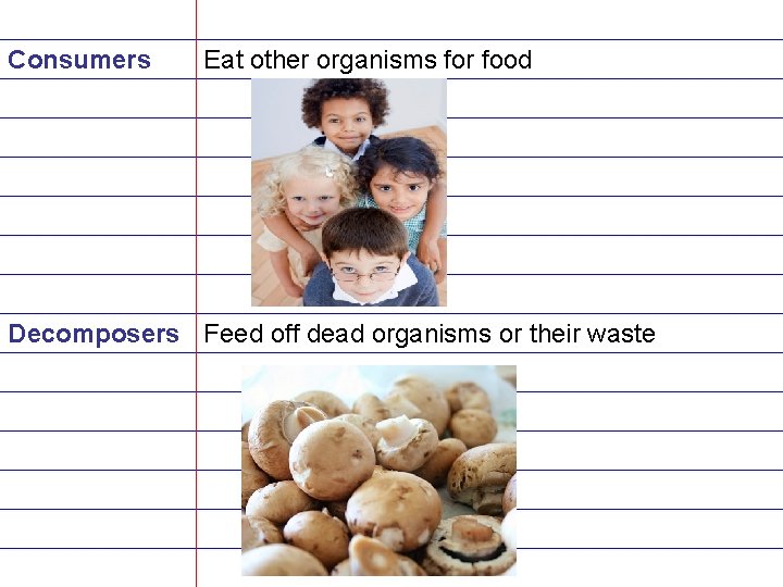 Consumers Eat other organisms for food Decomposers Feed off dead organisms or their waste