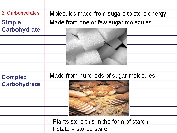 2. Carbohydrates Simple Carbohydrate Complex Carbohydrate - Molecules made from sugars to store energy