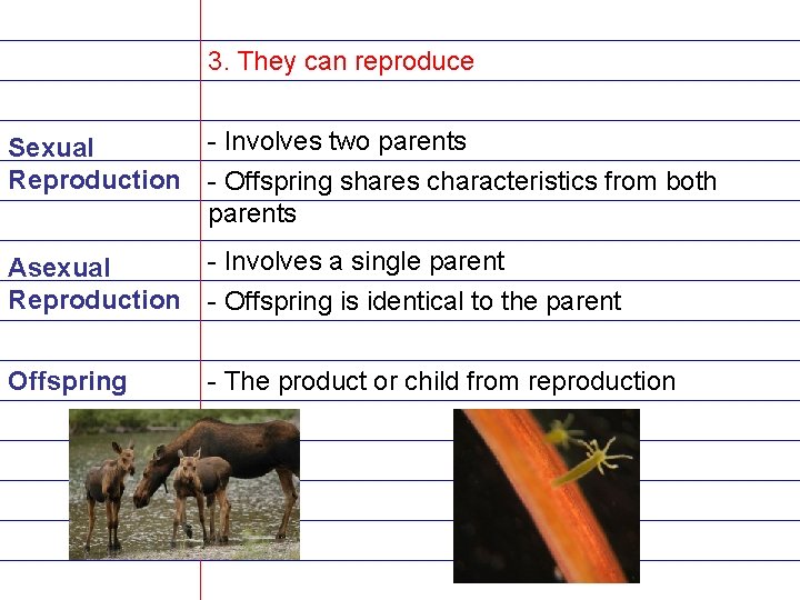 3. They can reproduce Sexual Reproduction - Involves two parents Asexual Reproduction - Involves
