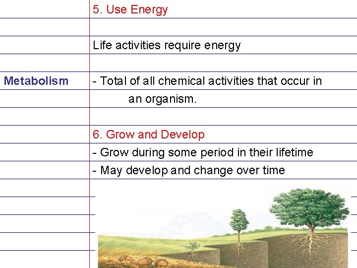5. Use Energy Life activities require energy Metabolism - Total of all chemical activities