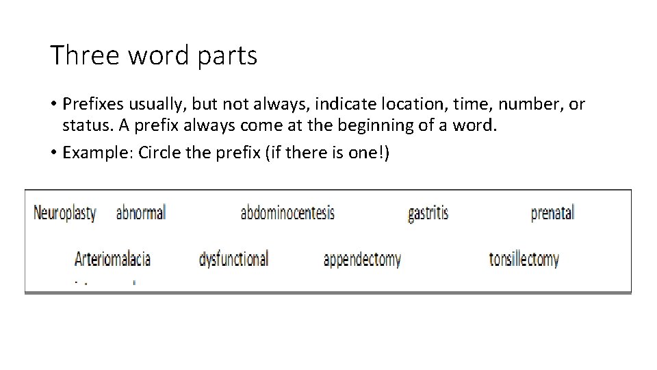 Three word parts • Prefixes usually, but not always, indicate location, time, number, or