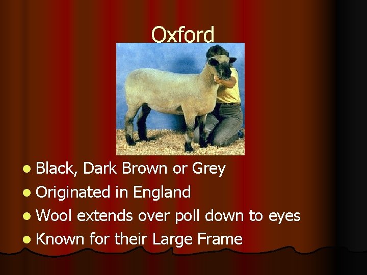 Oxford l Black, Dark Brown or Grey l Originated in England l Wool extends