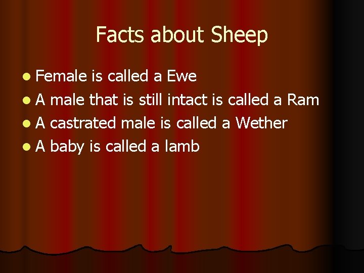 Facts about Sheep l Female is called a Ewe l A male that is