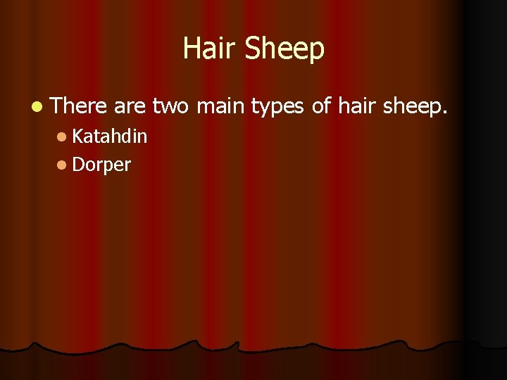 Hair Sheep l There are two main types of hair sheep. l Katahdin l