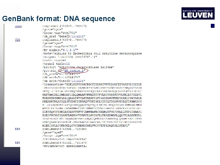 Gen. Bank format: DNA sequence 