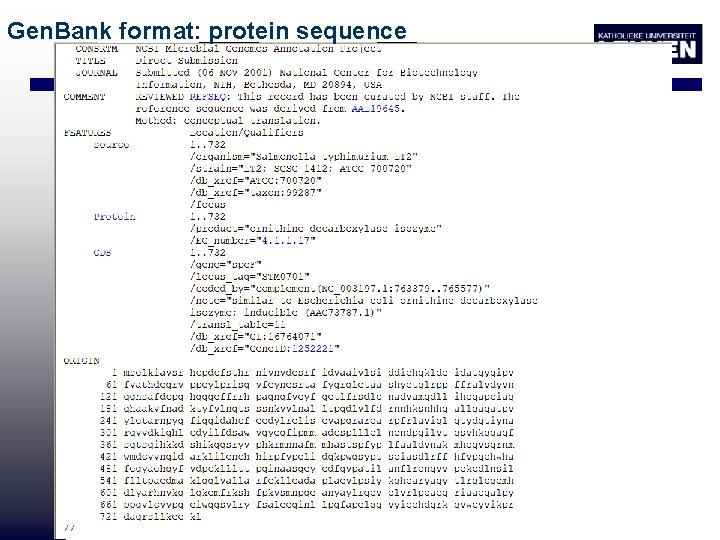 Gen. Bank format: protein sequence 