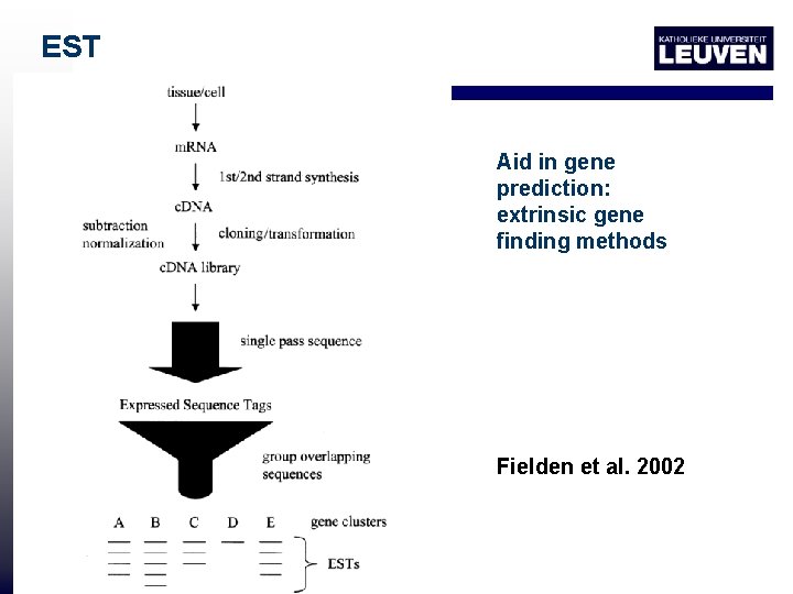 EST Aid in gene prediction: extrinsic gene finding methods Fielden et al. 2002 
