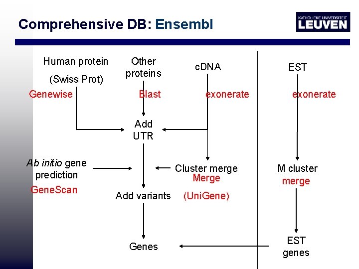 Comprehensive DB: Ensembl Human protein (Swiss Prot) Genewise Other proteins Blast c. DNA exonerate