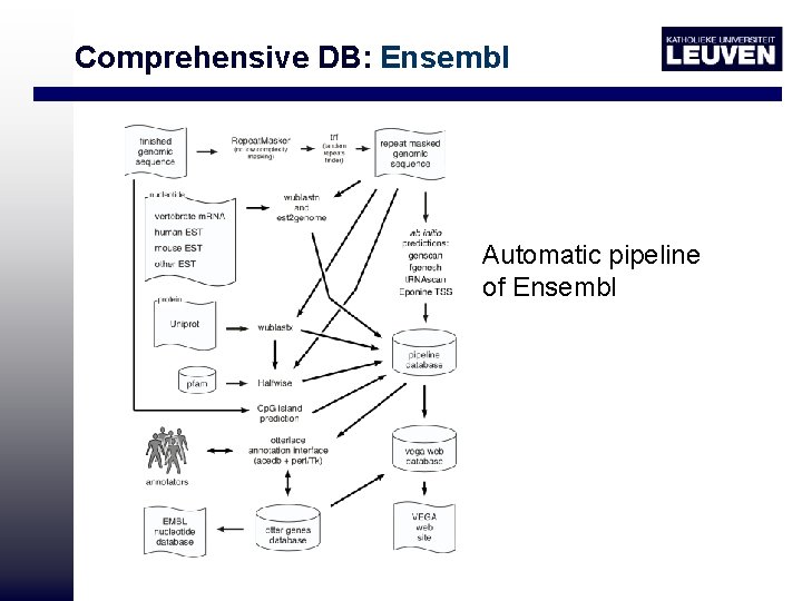 Comprehensive DB: Ensembl Automatic pipeline of Ensembl 