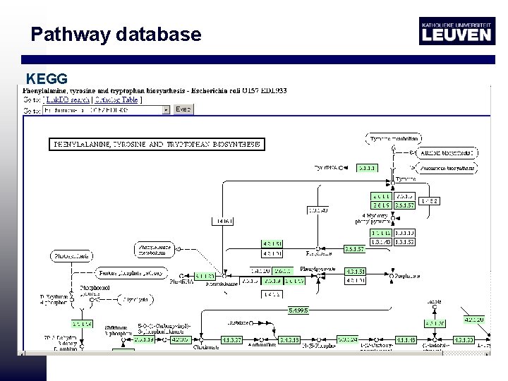 Pathway database KEGG 