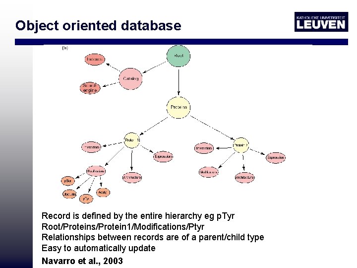 Object oriented database Record is defined by the entire hierarchy eg p. Tyr Root/Proteins/Protein