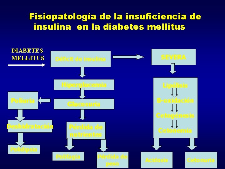 Fisiopatología de la insuficiencia de insulina en la diabetes mellitus DIABETES MELLITUS Déficit de