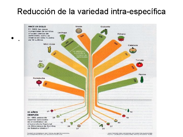 Reducción de la variedad intra-específica • . 