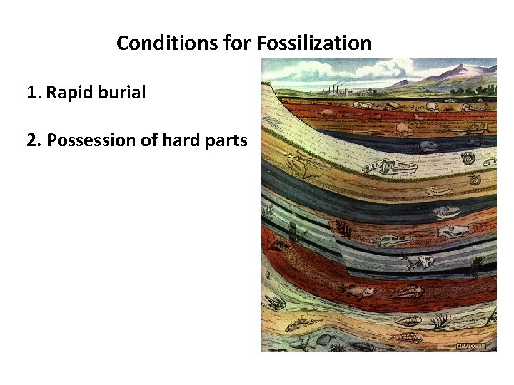 Conditions for Fossilization 1. Rapid burial 2. Possession of hard parts 