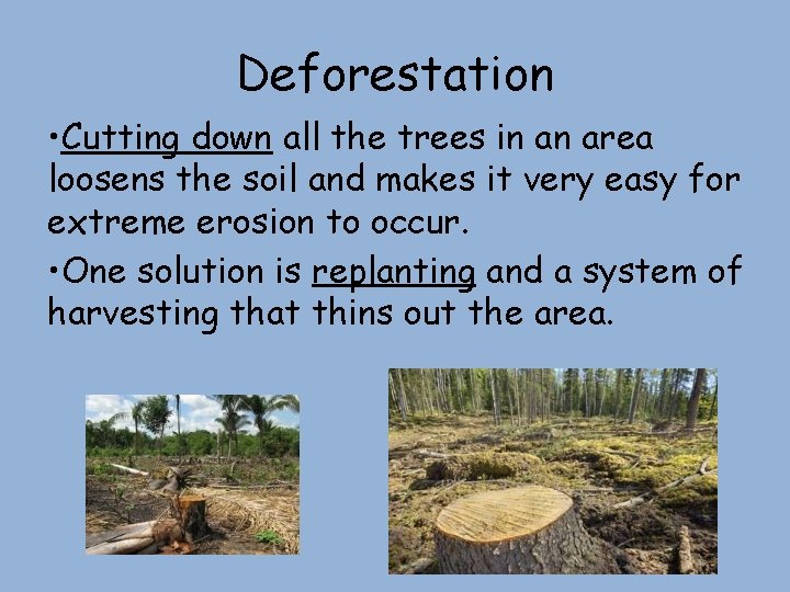 Deforestation • Cutting down all the trees in an area loosens the soil and