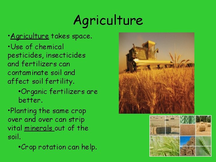 Agriculture • Agriculture takes space. • Use of chemical pesticides, insecticides and fertilizers can