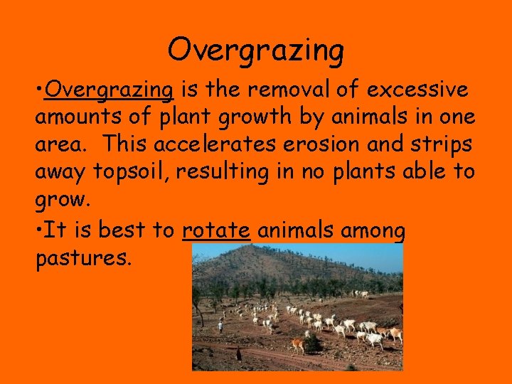 Overgrazing • Overgrazing is the removal of excessive amounts of plant growth by animals