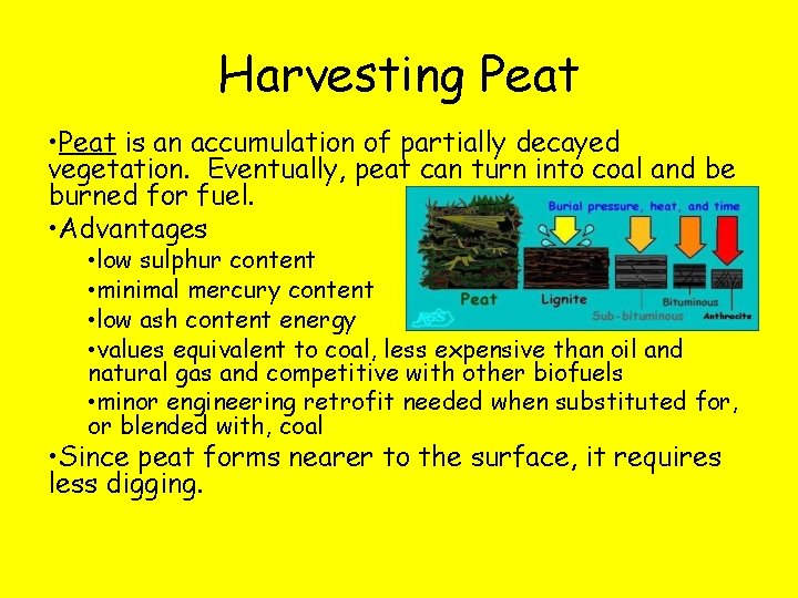 Harvesting Peat • Peat is an accumulation of partially decayed vegetation. Eventually, peat can