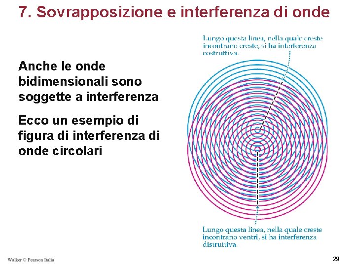 7. Sovrapposizione e interferenza di onde Anche le onde bidimensionali sono soggette a interferenza