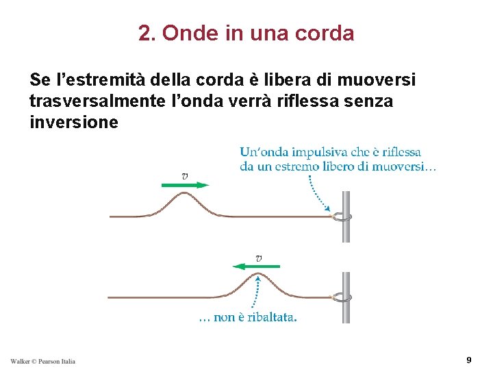 2. Onde in una corda Se l’estremità della corda è libera di muoversi trasversalmente