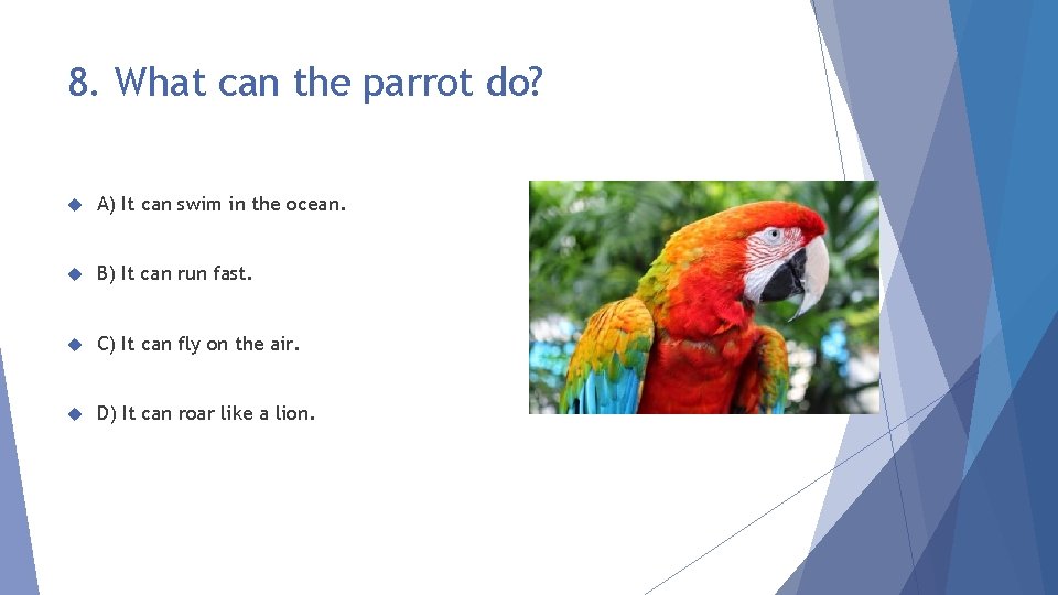 8. What can the parrot do? A) It can swim in the ocean. B)