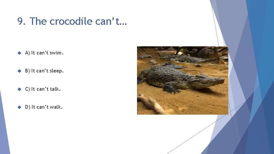 9. The crocodile can’t… A) It can’t swim. B) It can’t sleep. C) It