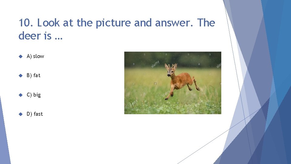 10. Look at the picture and answer. The deer is … A) slow B)