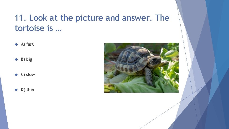 11. Look at the picture and answer. The tortoise is … A) fast B)