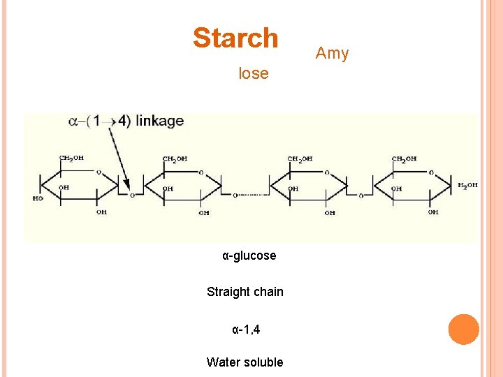 Starch lose α-glucose Straight chain α-1, 4 Water soluble Amy 